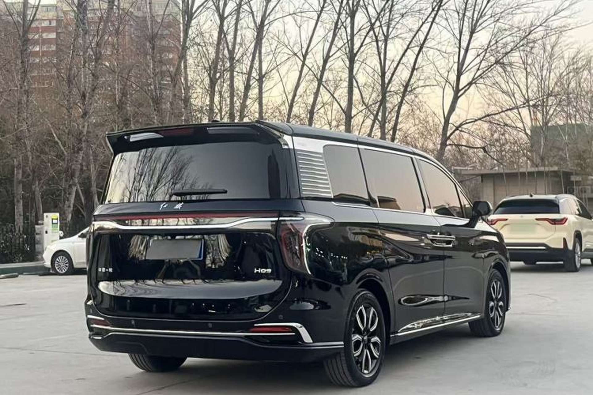 Used Hongqi HQ9 2023 2.0T Smart Connect Flagship Edition Exterior 4