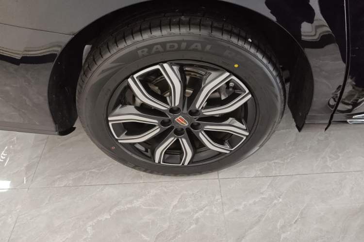Used Hongqi HQ9 2023 2.0T Smart Connect Flagship Edition Exterior 5
