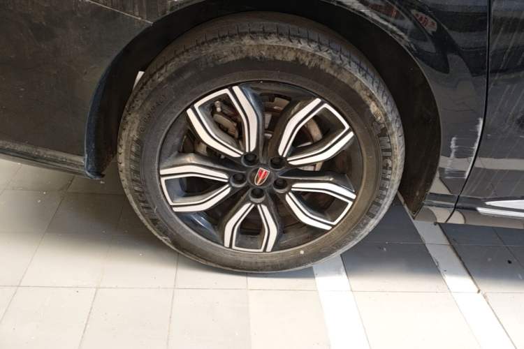 Used Hongqi HQ9 2023 2.0T Smart Connect Flagship Edition Exterior 5