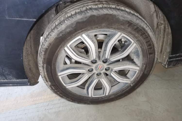 Used Hongqi HQ9 2023 2.0T Smart Connect Flagship Edition Exterior 5