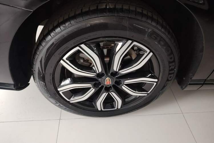 Used Hongqi HQ9 2023 2.0T Smart Connect Flagship Edition Exterior 5