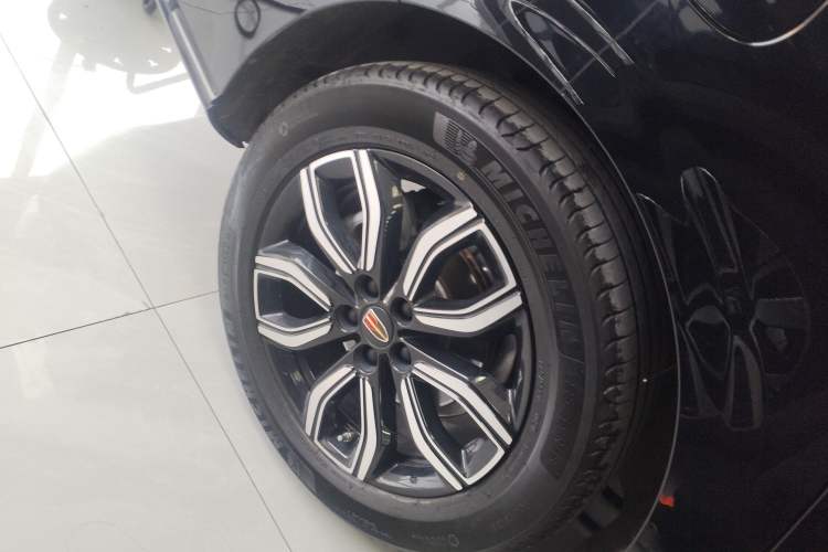 Used Hongqi HQ9 2023 2.0T Smart Connect Flagship Edition Exterior 5