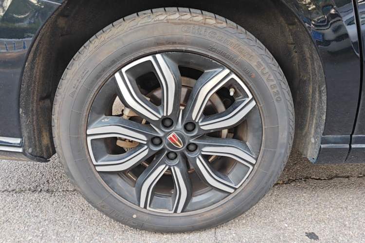 Used Hongqi HQ9 2023 2.0T Smart Connect Flagship Edition Exterior 5