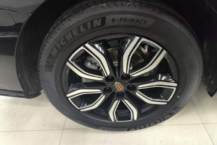 Used Hongqi HQ9 2023 2.0T Smart Connect Flagship Edition Exterior 5