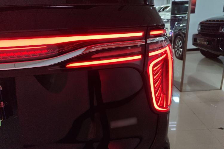 Used Hongqi HQ9 2023 2.0T Smart Connect Flagship Edition Exterior 6
