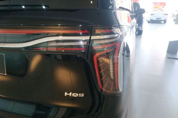 Used Hongqi HQ9 2023 2.0T Smart Connect Flagship Edition Exterior 6