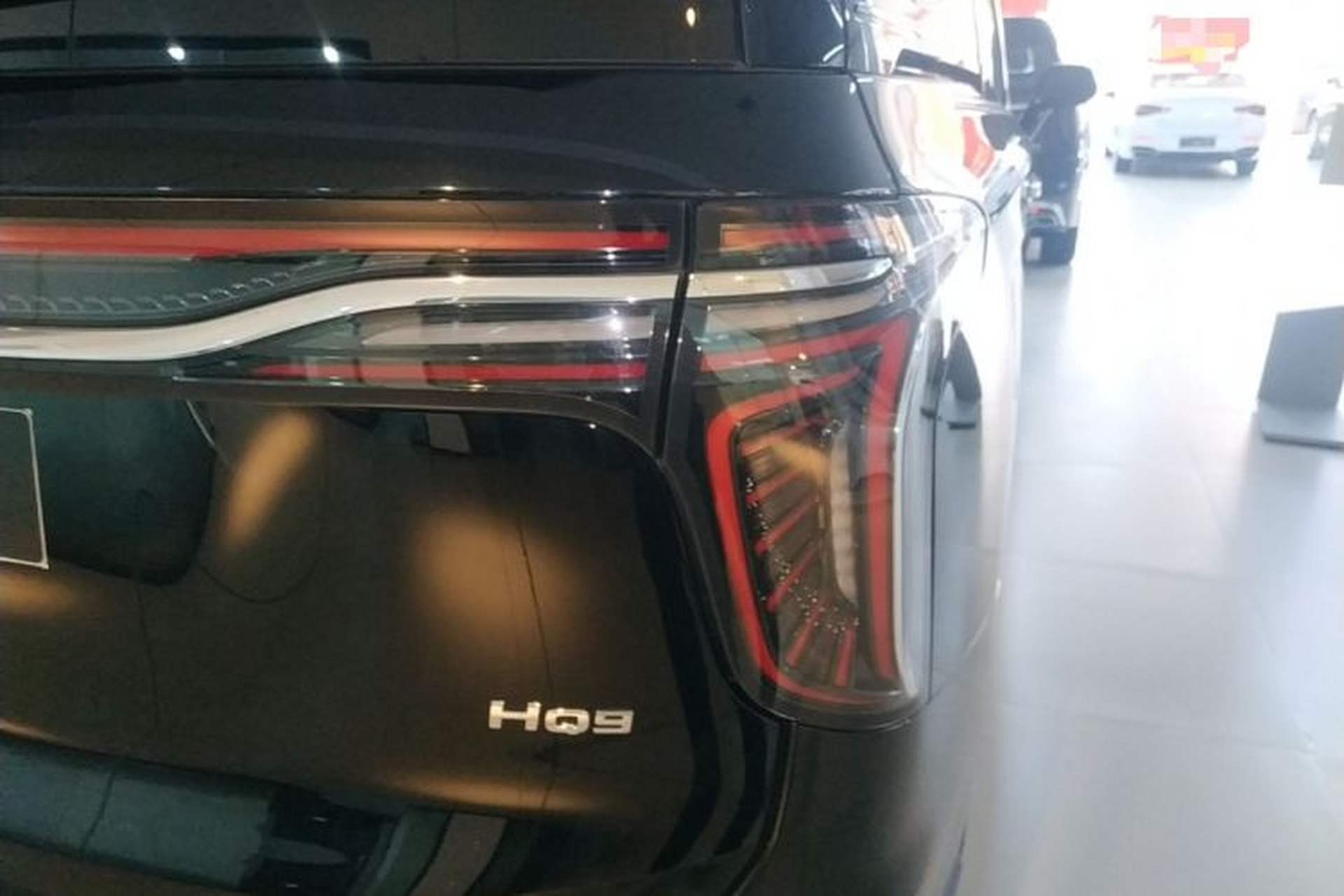 Used Hongqi HQ9 2023 2.0T Smart Connect Flagship Edition Exterior 6