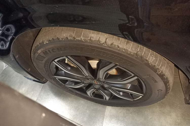 Used Hongqi HQ9 2023 2.0T Smart Connect Flagship Edition Exterior 7