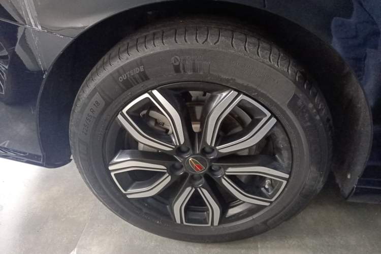 Used Hongqi HQ9 2023 2.0T Smart Connect Flagship Edition Exterior 8