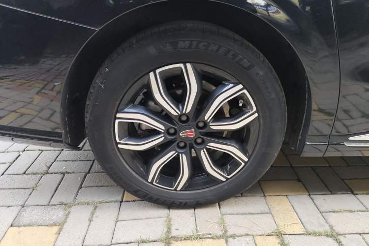 Used Hongqi HQ9 2023 2.0T Smart Connect Flagship Edition Exterior 8