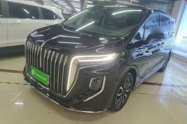 Used Hongqi HQ9 2023 2.0T Smart Connect Flagship Edition