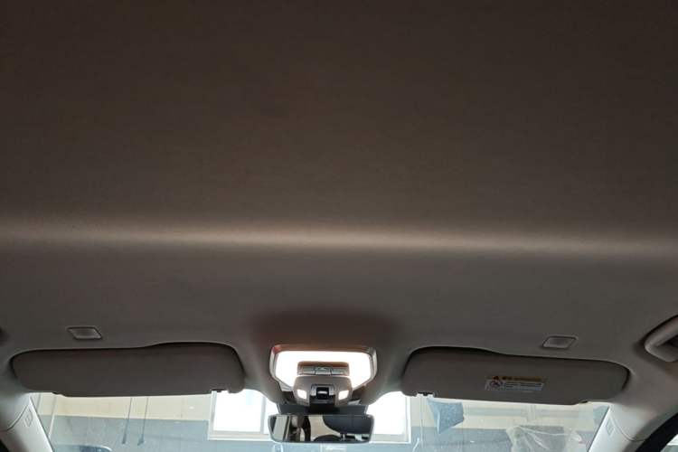 Used Hongqi HQ9 2023 2.0T Smart Connect Flagship Edition Headliner