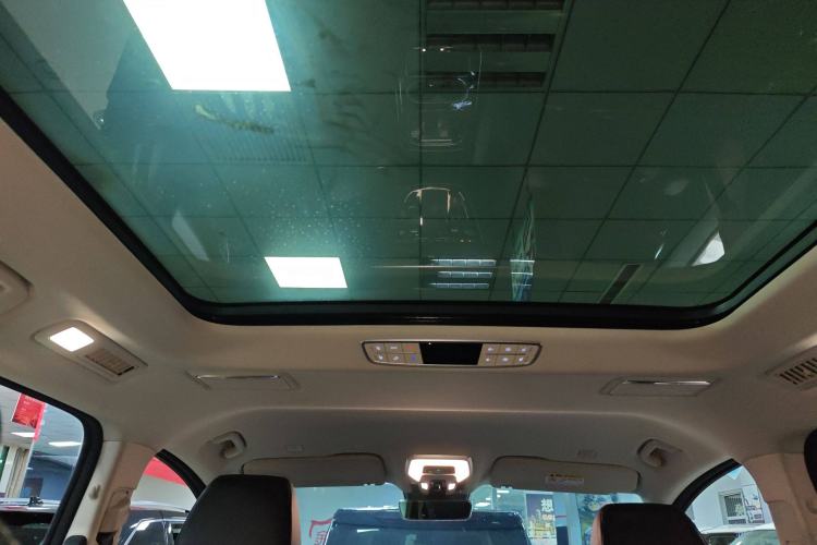 Used Hongqi HQ9 2023 2.0T Smart Connect Flagship Edition Headliner