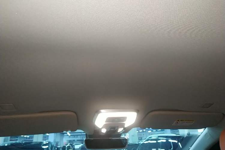 Used Hongqi HQ9 2023 2.0T Smart Connect Flagship Edition Headliner