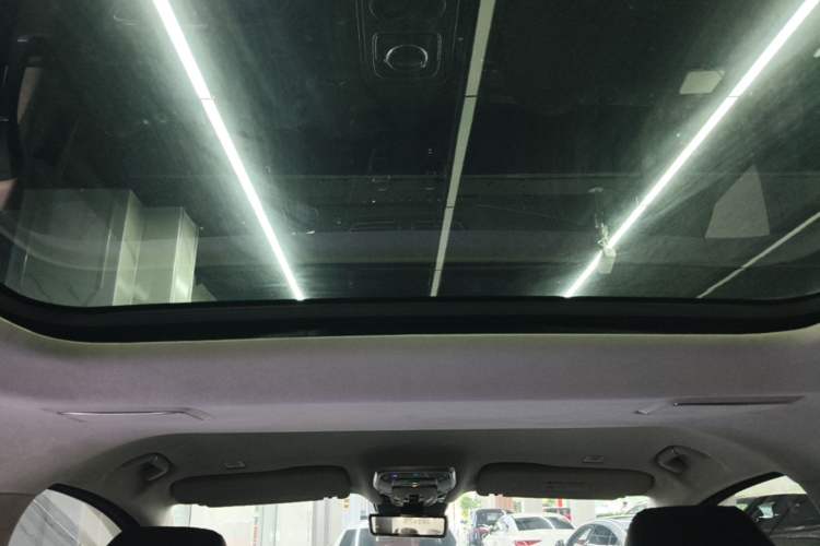 Used Hongqi HQ9 2023 2.0T Smart Connect Flagship Edition Headliner