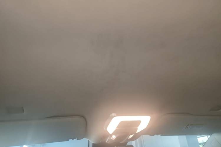 Used Hongqi HQ9 2023 2.0T Smart Connect Flagship Edition Headliner