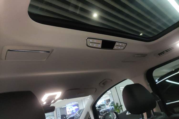 Used Hongqi HQ9 2023 2.0T Smart Connect Flagship Edition Headliner