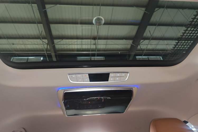 Used Hongqi HQ9 2023 2.0T Smart Connect Flagship Edition Headliner