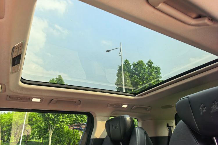 Used Hongqi HQ9 2023 2.0T Smart Connect Flagship Edition Headliner