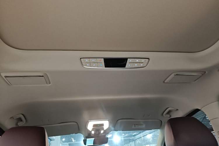 Used Hongqi HQ9 2023 2.0T Smart Connect Flagship Edition Headliner