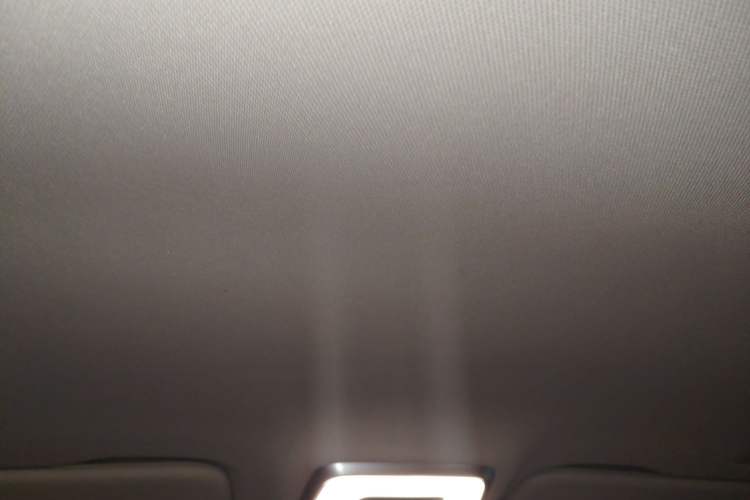 Used Hongqi HQ9 2023 2.0T Smart Connect Flagship Edition Headliner