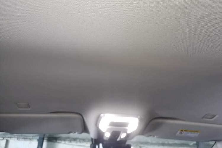 Used Hongqi HQ9 2023 2.0T Smart Connect Flagship Edition Headliner