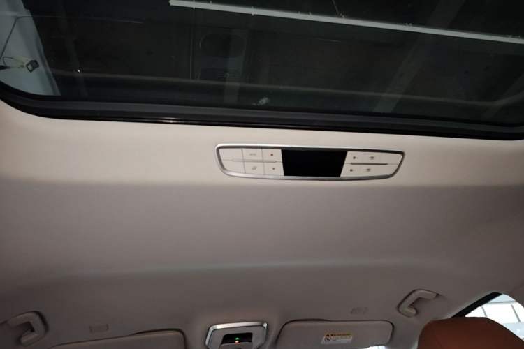 Used Hongqi HQ9 2023 2.0T Smart Connect Flagship Edition Headliner