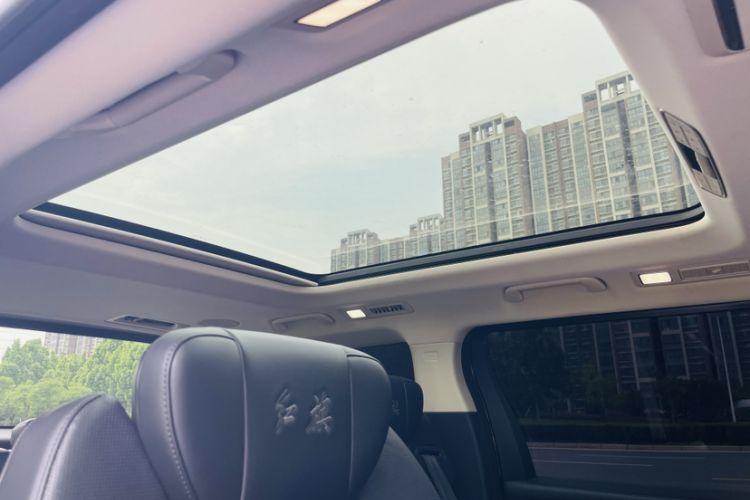 Used Hongqi HQ9 2023 2.0T Smart Connect Flagship Edition Headliner