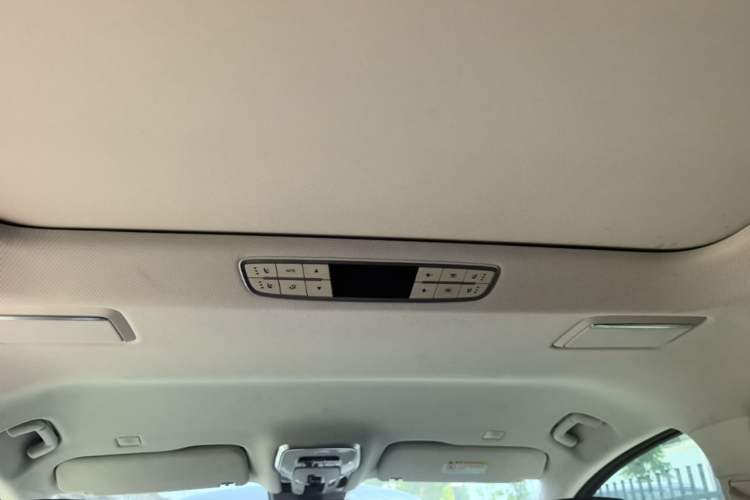 Used Hongqi HQ9 2023 2.0T Smart Connect Flagship Edition Headliner