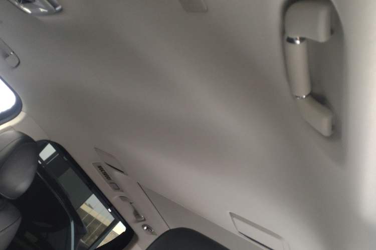 Used Hongqi HQ9 2023 2.0T Smart Connect Flagship Edition Headliner