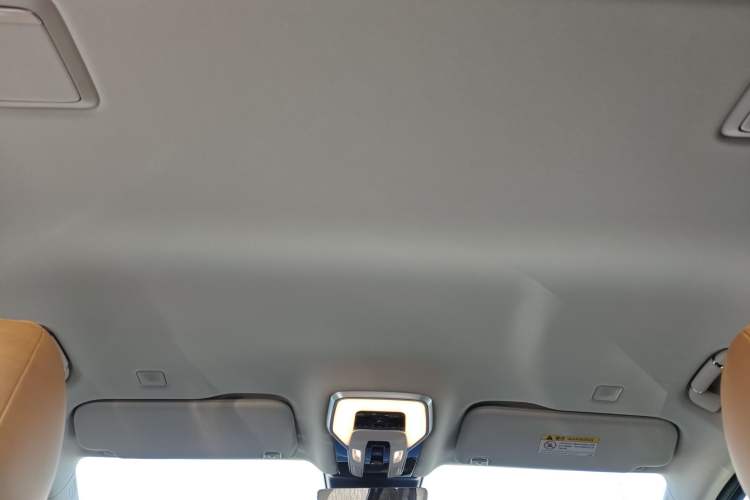 Used Hongqi HQ9 2023 2.0T Smart Connect Flagship Edition Headliner