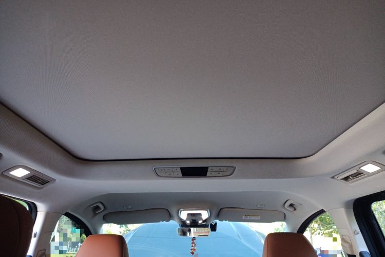 Used Hongqi HQ9 2023 2.0T Smart Connect Flagship Edition Headliner