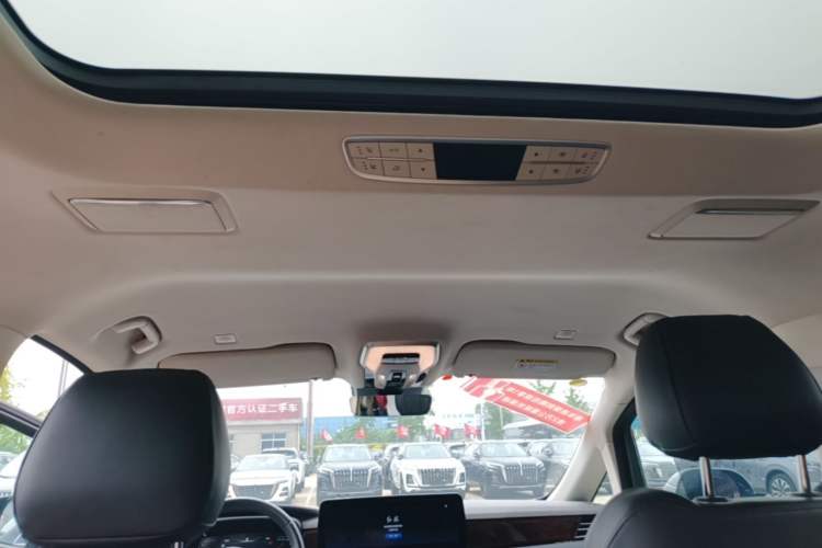 Used Hongqi HQ9 2023 2.0T Smart Connect Flagship Edition Headliner
