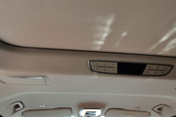 Used Hongqi HQ9 2023 2.0T Smart Connect Flagship Edition Headliner
