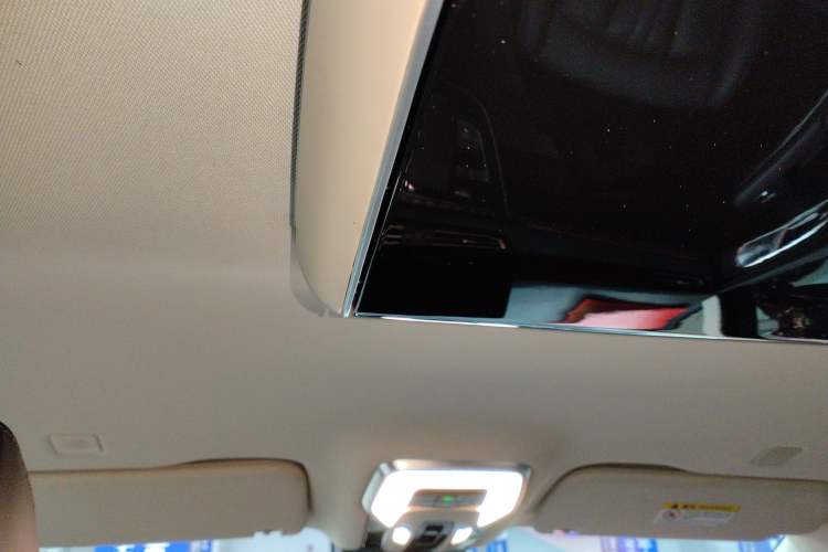 Used Hongqi HQ9 2023 2.0T Smart Connect Flagship Edition Headliner