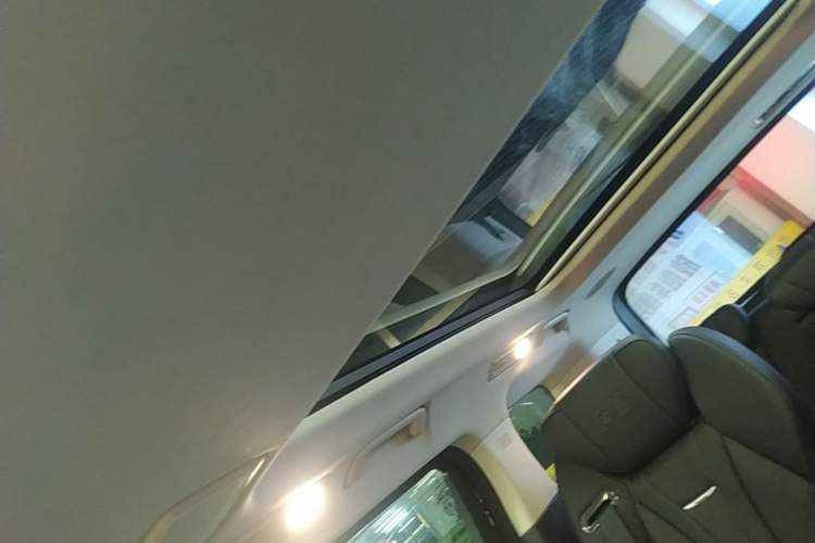 Used Hongqi HQ9 2023 2.0T Smart Connect Flagship Edition Headliner