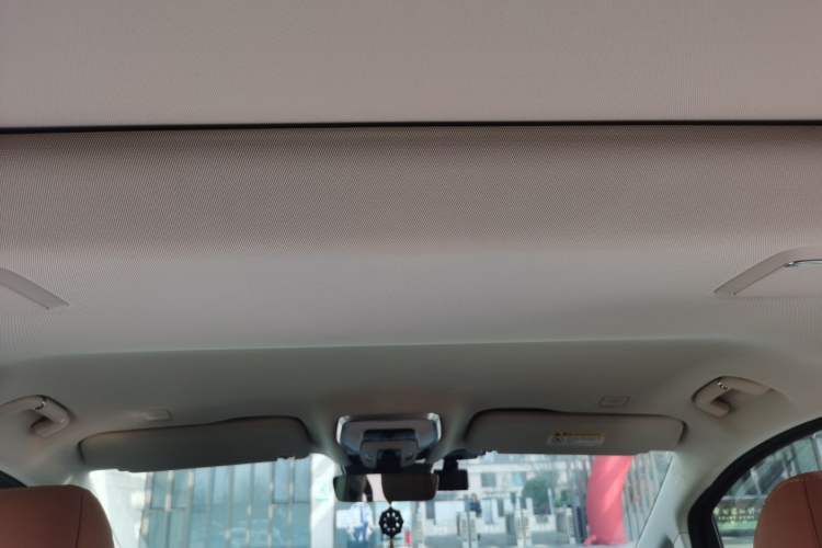 Used Hongqi HQ9 2023 2.0T Smart Connect Flagship Edition Headliner