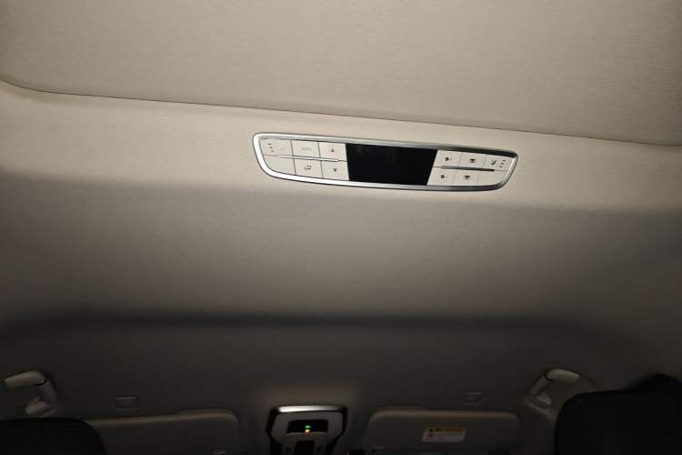 Used Hongqi HQ9 2023 2.0T Smart Connect Flagship Edition Headliner