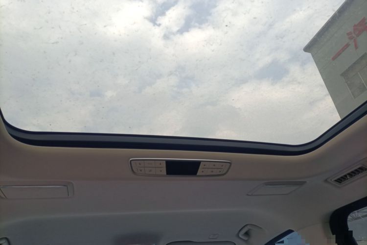 Used Hongqi HQ9 2023 2.0T Smart Connect Flagship Edition Headliner