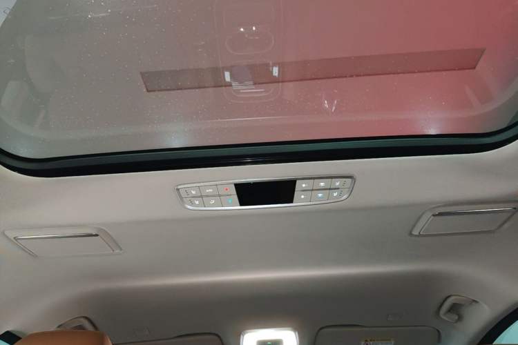 Used Hongqi HQ9 2023 2.0T Smart Connect Flagship Edition Headliner