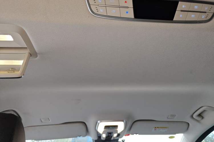 Used Hongqi HQ9 2023 2.0T Smart Connect Flagship Edition Headliner