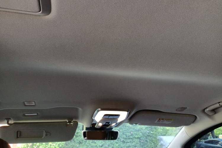 Used Hongqi HQ9 2023 2.0T Smart Connect Flagship Edition Headliner