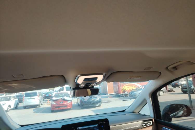 Used Hongqi HQ9 2023 2.0T Smart Connect Flagship Edition Headliner