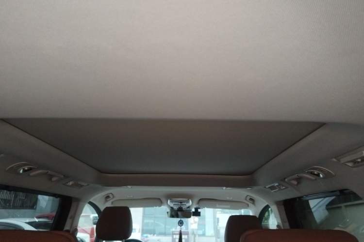 Used Hongqi HQ9 2023 2.0T Smart Connect Flagship Edition Headliner