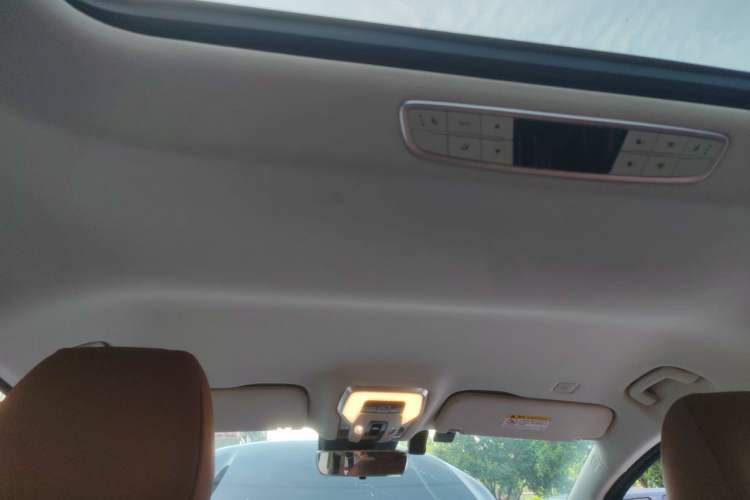 Used Hongqi HQ9 2023 2.0T Smart Connect Flagship Edition Headliner