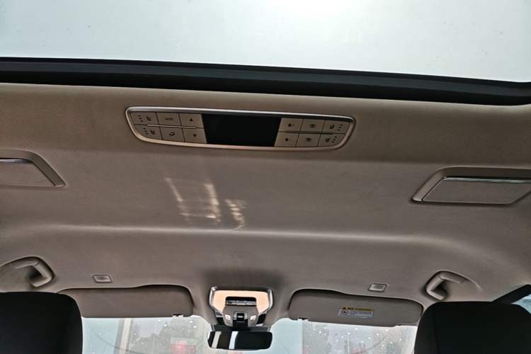 Used Hongqi HQ9 2023 2.0T Smart Connect Flagship Edition Headliner