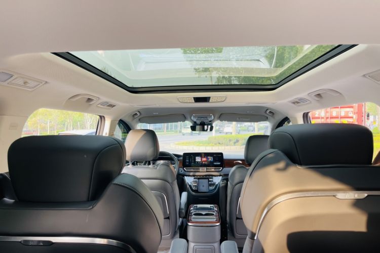 Used Hongqi HQ9 2023 2.0T Smart Connect Flagship Edition Headliner