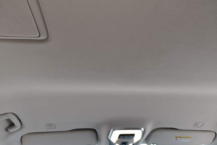 Used Hongqi HQ9 2023 2.0T Smart Connect Flagship Edition Headliner