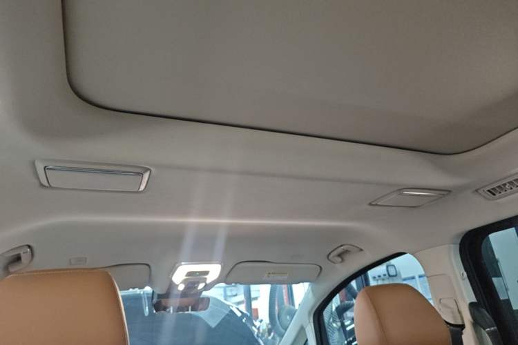 Used Hongqi HQ9 2023 2.0T Smart Connect Flagship Edition Headliner