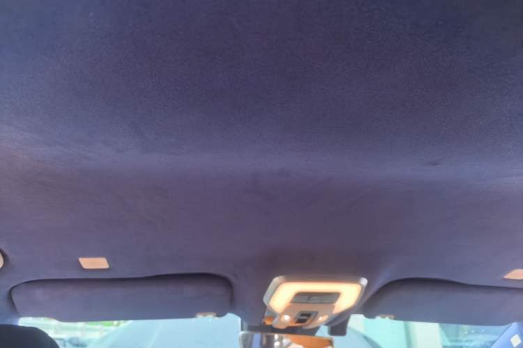 Used Hongqi HQ9 2023 2.0T Smart Connect Flagship Edition Headliner